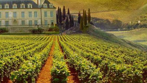 葤„酒招商廣告中的波爾多產區 2.jpg